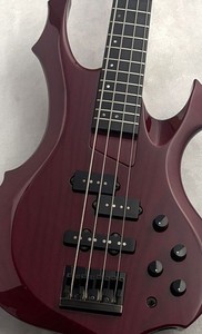 Esp Forest | eBay