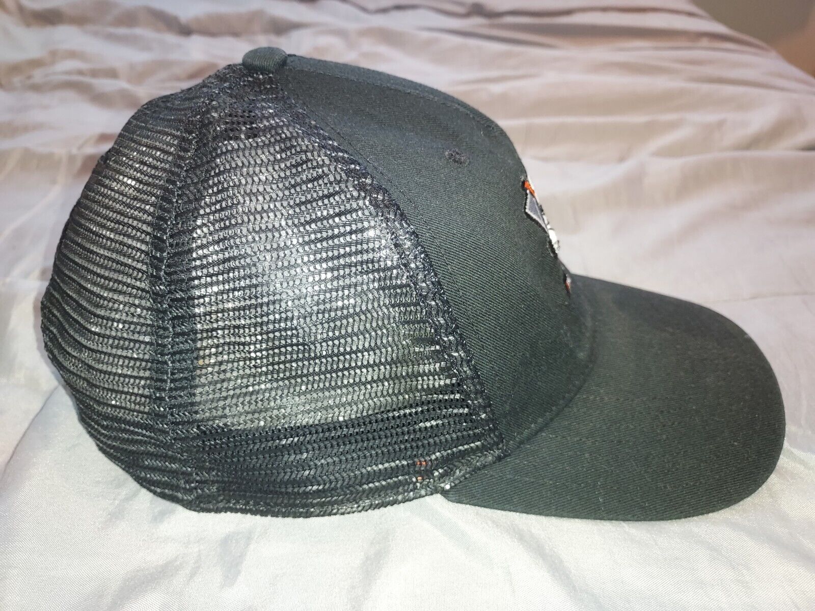 Picture 7 of 11