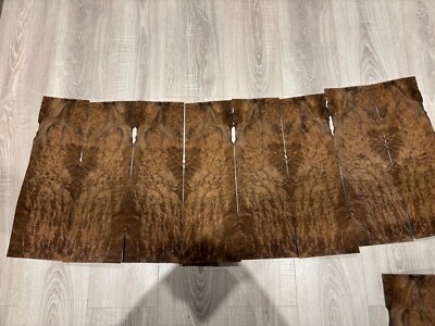 Maser Nussbaum - 8 NATURHOLZ Platten - Intarsien - je 8 @ 500 mm x 160 mm - (2)