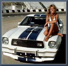 1977 Ford Mustang Ii Cobra Farrah Fawcett Toolbox - Refrigerator Magnet 42 Mil 1977 Ford Mustang Ii Cobra Farrah Fawcett Toolbox - Refrigerator Magnet 42 Mil