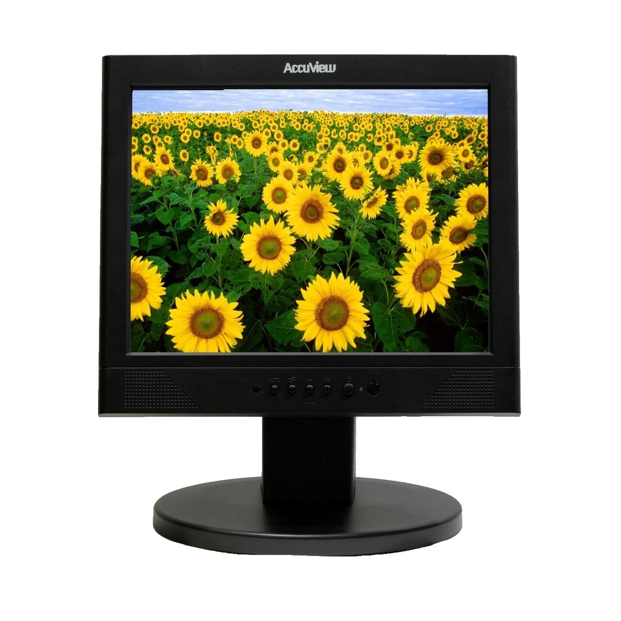 VGA D-Sub 4:3 Computer Monitors