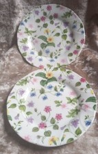 2 X Queens China Country Meadow 16cm Side Plates Fine Bone China VGC 