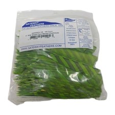 100 Pack Gateway Feathers 4" Right Wing: Shield Barred Chartreuse 400RSBCH