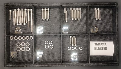 YAMAHA BLASTER STAINLESS BOLT SCREW ENGINE kit SET YFS200 POLISHED