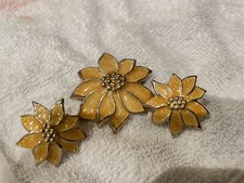 Costume Clip On Earrings And Pin Set