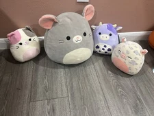 squishmallow variety 