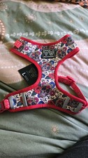 Big & Little Dogs Adjustable Dog Harness: Day Of The Dead - L