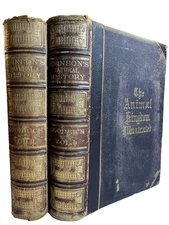 Antique Ornate Gilded Leather Natural History Victorian Book ANIMAL KINGDOM 1874