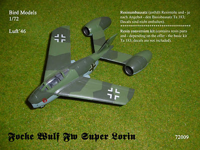 Focke Wulf Fw Super Lorin 1/72 Bird Models Resin Conversion Kit / Resin Conversion