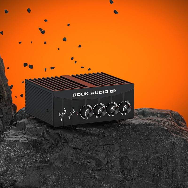 Douk Audio A100 HIFI 300W Mono/Stereo Power Amplifier with 48V5A Power Adapter