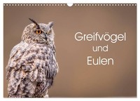 "Calendar 2027 · US Version · Birds Of Prey And Owls (Wall Calendar 2027 17\" × 12"