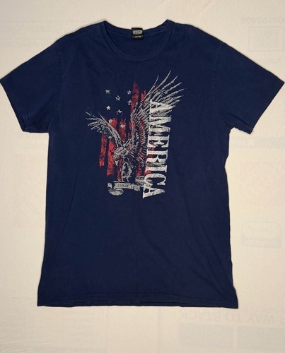 Hanes Perfect-T Men's Short Sleeve Graphic T-Shirt Eagle America Since 1776