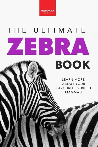 Jenny Kellett | Zebras The Ultimate Zebra Book For Kids | Taschenbuch | Englisch-image