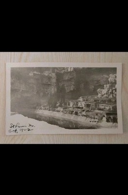 Brown Bear Grisly St. Louis Zoo~Missouri MO~Antique 1921 Photo~Small~2.75 x 4.5''