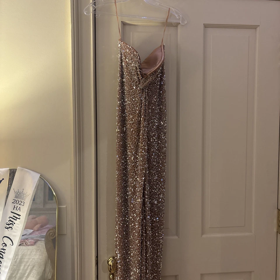 retrofete Evie Dress in Silver & Nude Size XS ..$1095 - Image 2 of 4