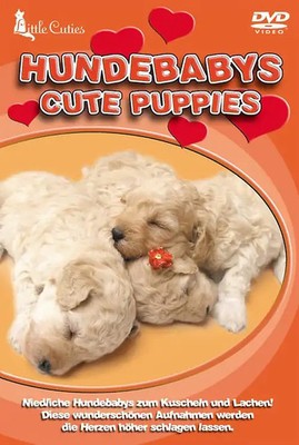 Little Cuties - Hundebabys