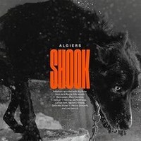 Shook Von Algiers | CD | Zustand Neu