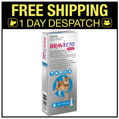 Bravecto CHB2045 Flea & Tick Chew for Cats for sale online eBay