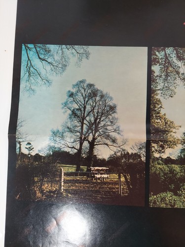 RENAISSANCE - A Song For All Seasons - Original Promo Poster 30x20 - Picture 2 of 19