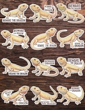 Beware the Dragon Die Cut Vinyl Stickers Set Scrapbooking Laptop Waterbottle