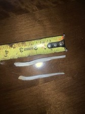 Coyote Baculum Cleaned Degreased Whitened Real Coyote Penis Bone Art Crafts