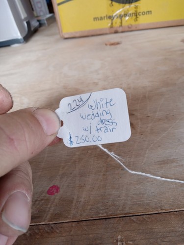 Lily's Vintage Wedding Dress With Train (SEE DESCRIPTION) - Picture 12 of 12