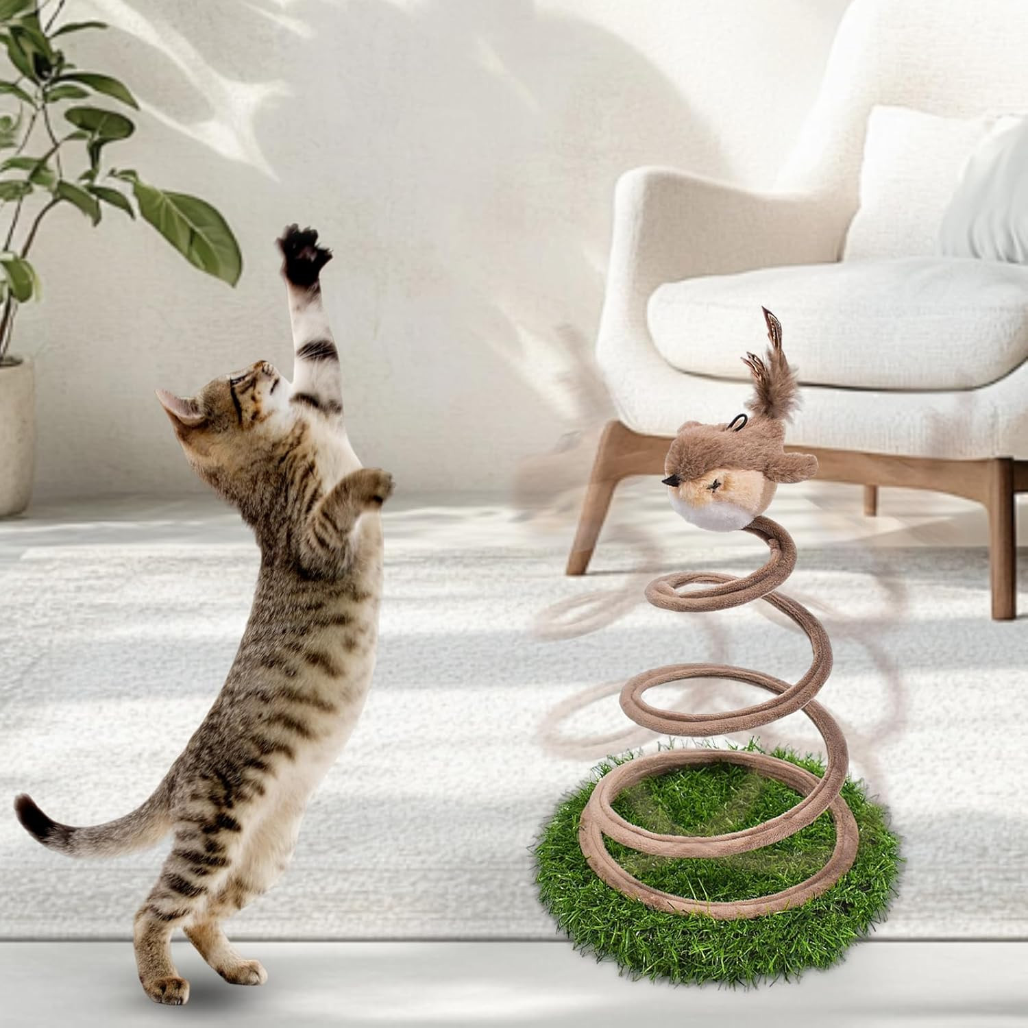 Recensione Giocattolo Interattivo Gatti | Il Meglio per Autooccupazione - 4