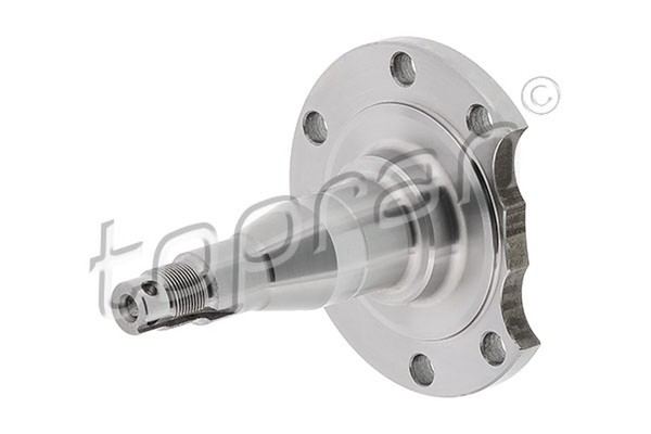 Topran Achszapfen AchsköRper 111 407 FüR Audi A4 Seat C4 A6 100 80 Inca 8D5 4A5-image