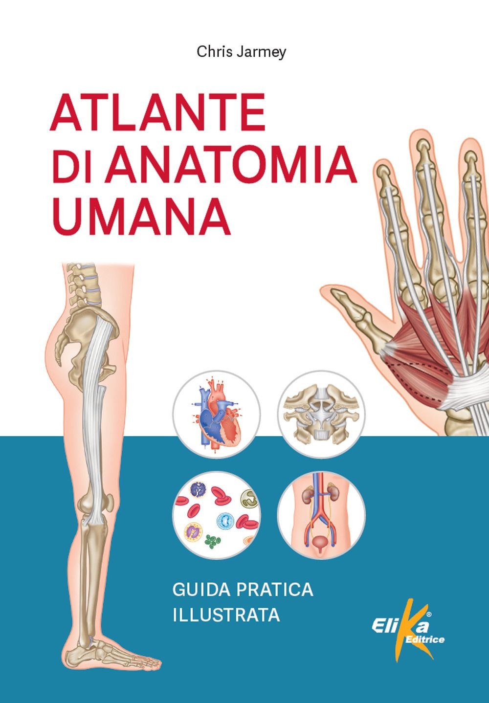 LIBRO ATLANTE DI ANATOMIA UMANA - CHRIS JARMEY - Immagine 4