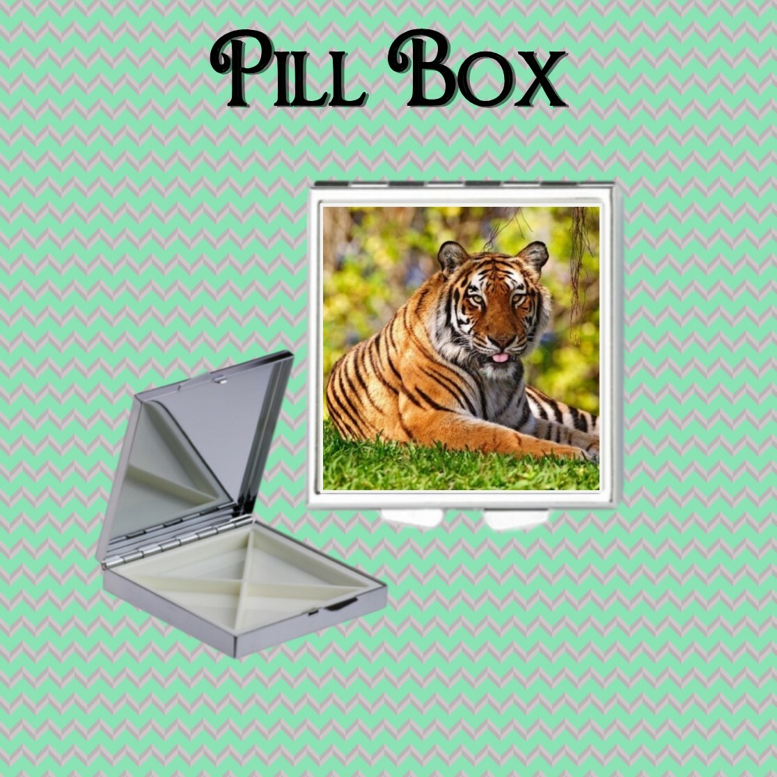ANIMALS SQUARE PILLBOX SECRET SANTA/STOCKING FILLER GIFT DOLPHINS LION KOALA
