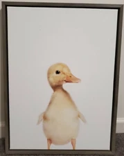 Kate and Laurel Sylvie Duck Framed Canvas Wall Art by Amy Peterson, 18x24, Gray