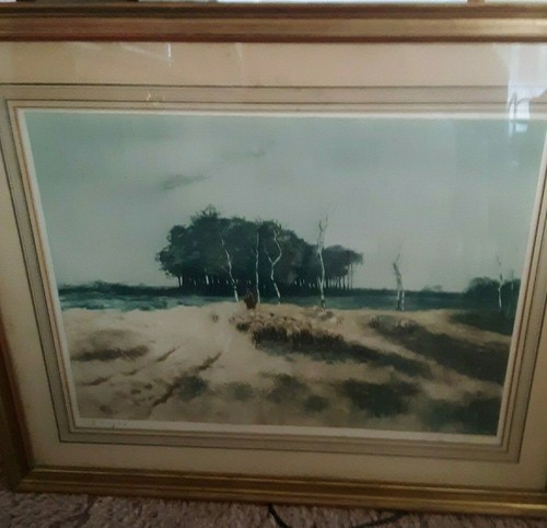 FRANZ CHARLET'S HANDKOLORIERT "SCHAFE AUF DER UNI" GRÖSSE 32 1/4" X 26 1/2"! - Bild 1 von 9