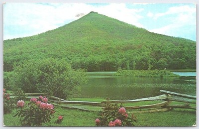 Vintage Sharp Top Mountain Blue Ridge Parkway Postcard 1973 Scenic