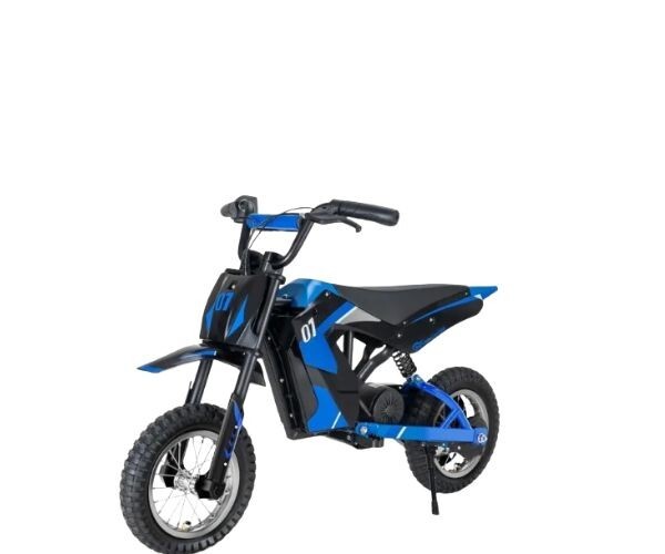 Moto électrique pour enfants 25 km/h EVERCROSS EV12M 300W