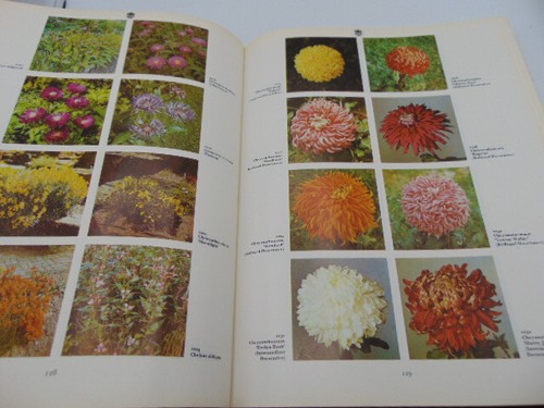 The Color Dictionary of Flowers & Plants for Home & Garden 1971 Hay & Synge HC - Bild 10 von 15