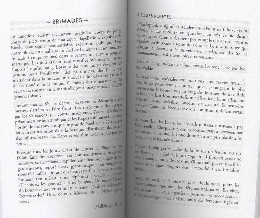 Imagen 7 de 12