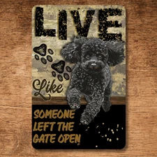 Black Poodle Sign Live Like Someone Left Gate or Door Open dog wall art metal