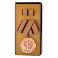 Authentic New East German Interior Ministry Bronze Merit Medal with Ribbon
