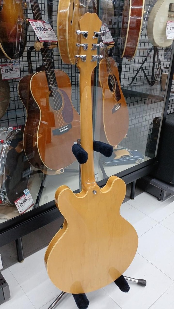 The Samick エレキギター フルホロウボディ The Samick エレキギター フルホロウボディ