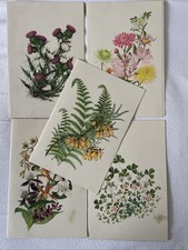 P & O Shipping Line 5 Menus July 1955 Job Lot SS Iberia  Includes Vegetarian