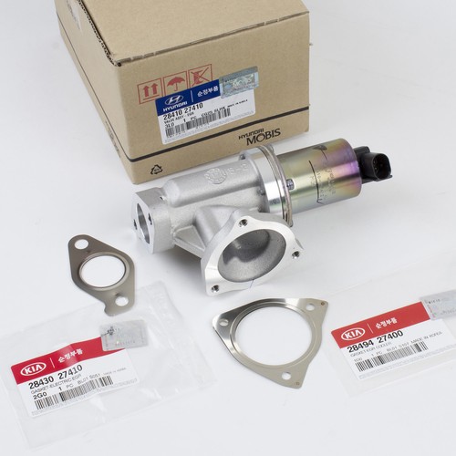 Genuine OEM Hyundai, Kia Sportage 0508 2.0DT EGR Valve w/GASKETS
