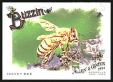 2024 Topps Allen and Ginter Baseball Buzzin (Bee) Insert Singles - You Choose