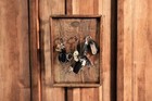 Bild 6 von 6