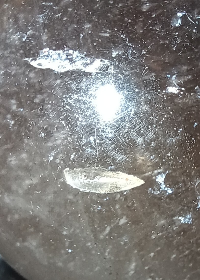 Picture 9 of 15