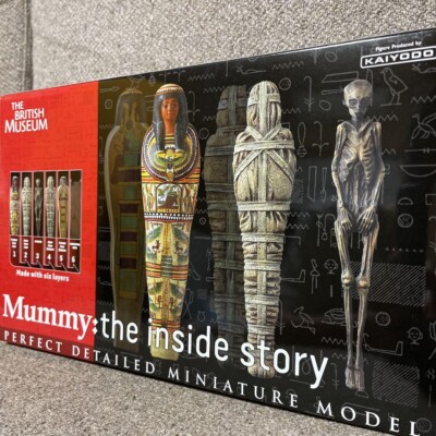 British Museum MUMMY the inside story perfect detailed miniature
