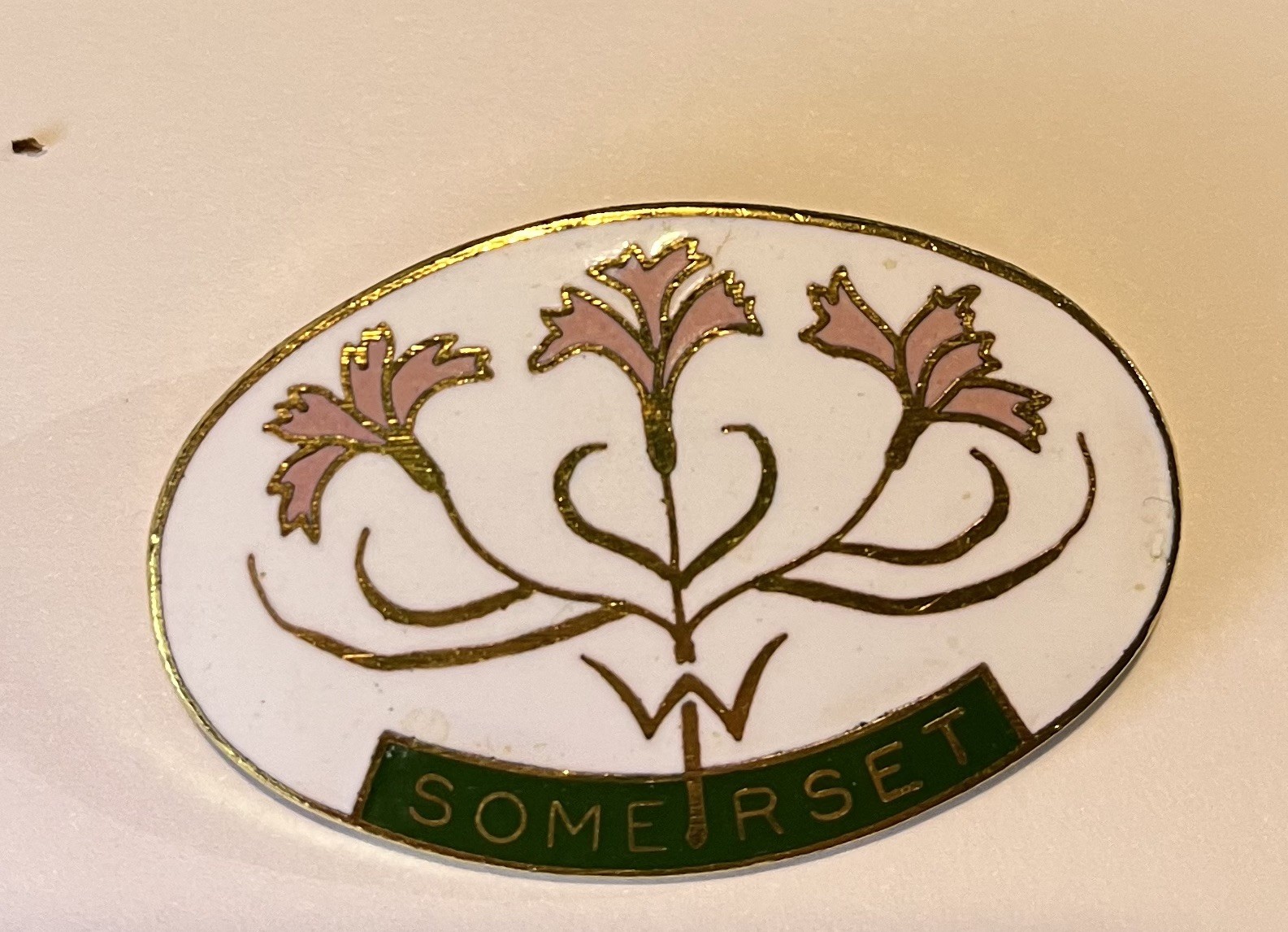VINTAGE SOMERSET WI WOMENS INSTITUTE PIN BADGE BROOCH ENAMEL ON GOLD TONE METAL 