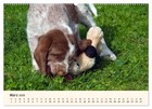 Bild 6 von 9