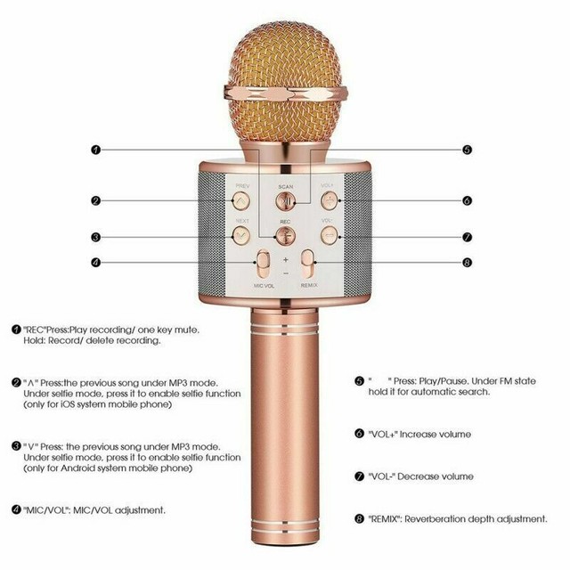 iwave karaoke microphone speaker