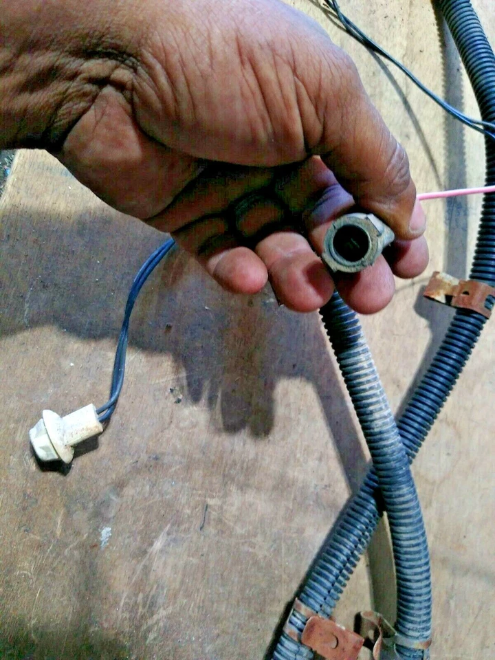 82-84 Regal Sedan Taillight Harness FC-6 - Image 4 of 4