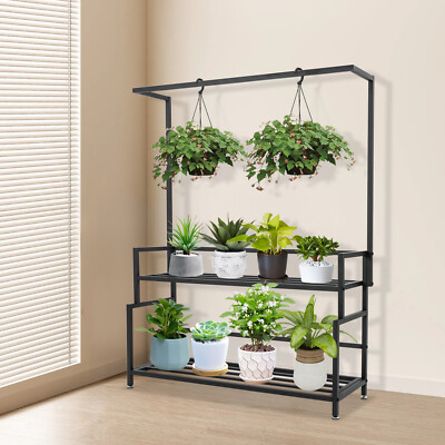 house plant vine heart shaped leaves Heartleaf Philodendron Plant (Philodendron hederaceum) main image 1